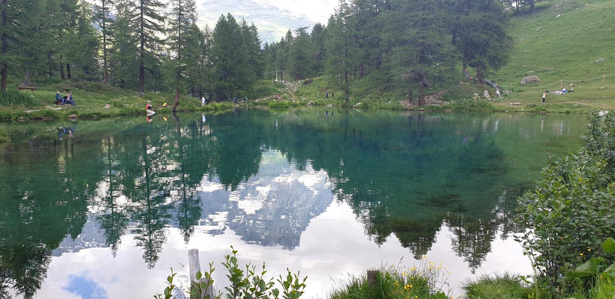 Profumo Di Legno A Cielo Alto La Coquille Daire Breuil-Cervinia Dış mekan fotoğraf